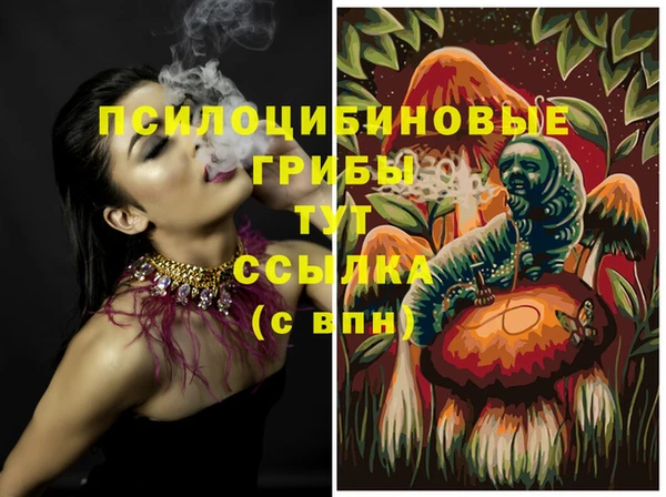 стафф Алзамай