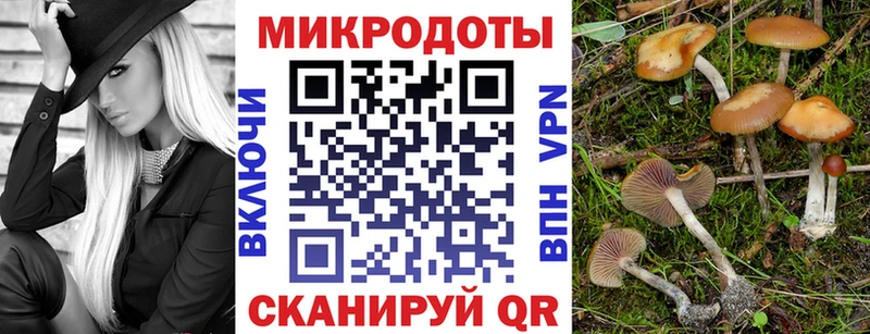 Галлюциногенные грибы ЛСД  Юрьев-Польский 